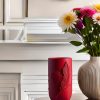 3D-geprinte Ethereal Love Vase met een elegante hartvorm en een sierlijke veer die subtiel over het hart heen loopt. De rode kleur en gladde afwerking geven deze vaas een romantische en artistieke uitstraling, ideaal als decoratief stuk in elk interieur.