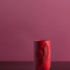 3D-geprinte Ethereal Love Vase met een elegante hartvorm en een sierlijke veer die subtiel over het hart heen loopt. De rode kleur en gladde afwerking geven deze vaas een romantische en artistieke uitstraling, ideaal als decoratief stuk in elk interieur.