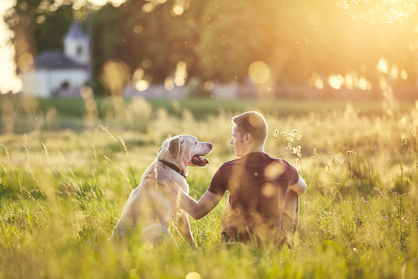Man met hond in een weide als symbool voor afscheid — urn voor hond